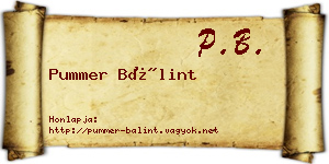 Pummer Bálint névjegykártya