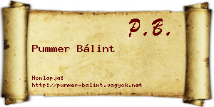 Pummer Bálint névjegykártya